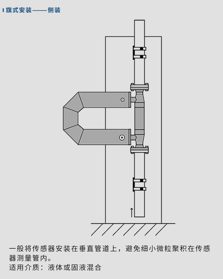 防爆質(zhì)量流量計(jì)垂直安裝示意圖